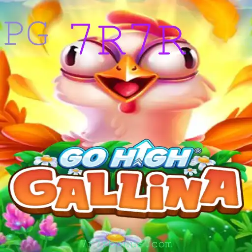 GoHighGallina: Uma Experiência de Jogo Inovadora com a Palavra-chave Secreta 7R7R